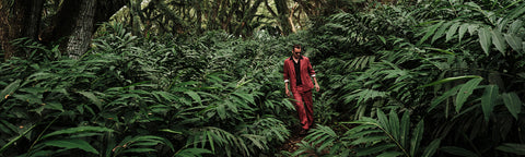 Floris van Bommel, wearing a red suit stands in a dense green jungle or forest clearing, surrounded by large tropical leaves.