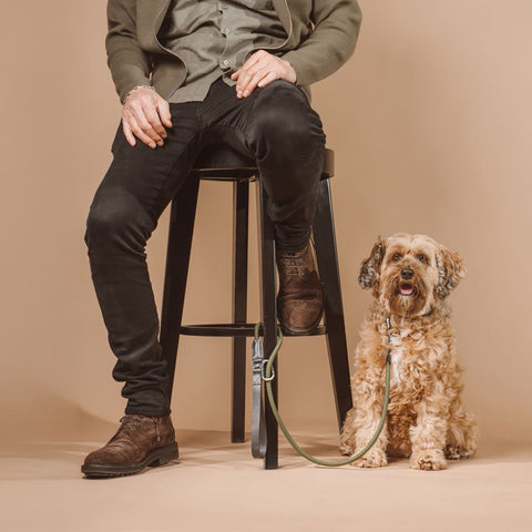 Floris van Bommel sits on a black stool wearing a green shirt, olive jacket, and black pants, with a small curly-haired dog Flapper, sitting beside him on a green leash against a solid beige background.