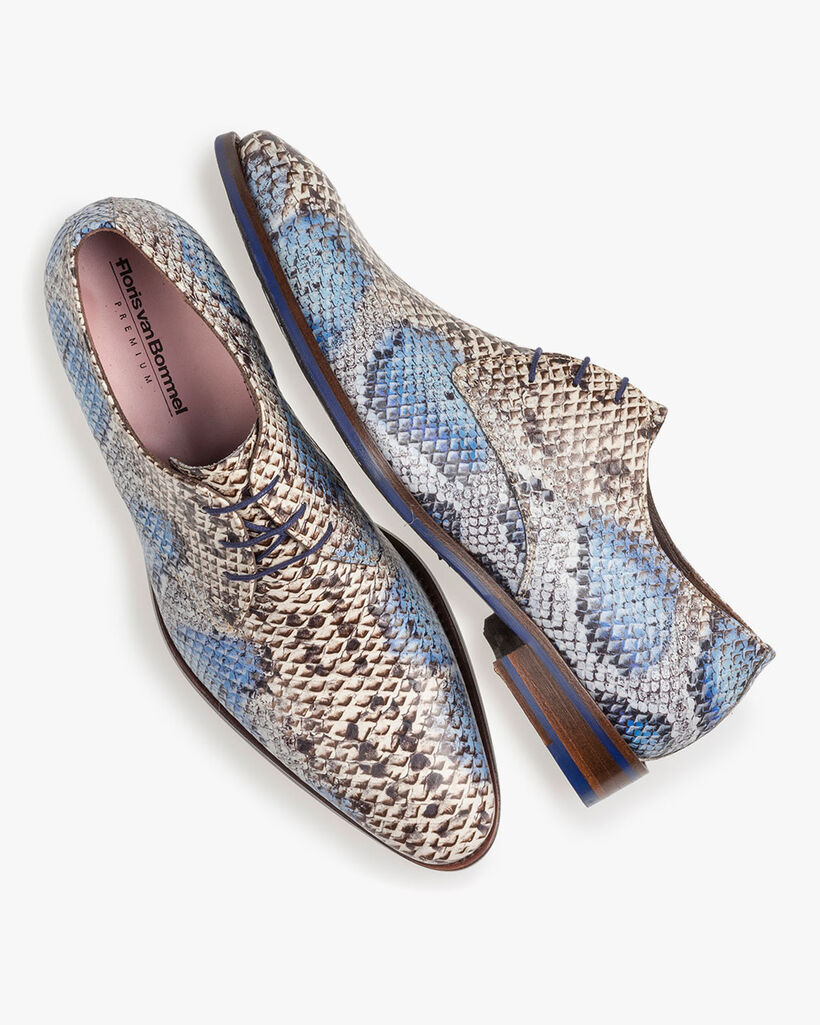 Premium lace shoe with a blue snake print