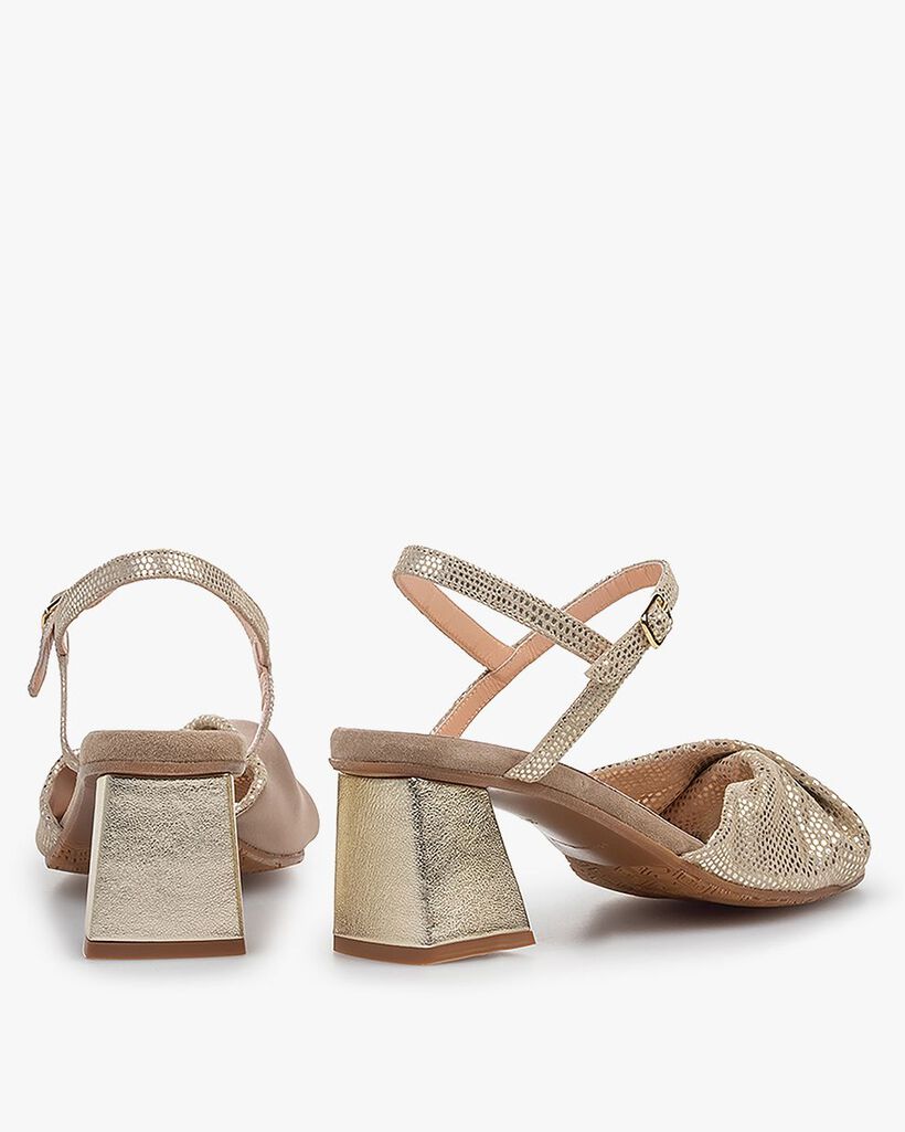 Cassi 02.02