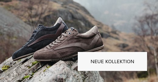 Floris van Bommel herren neue kollektion