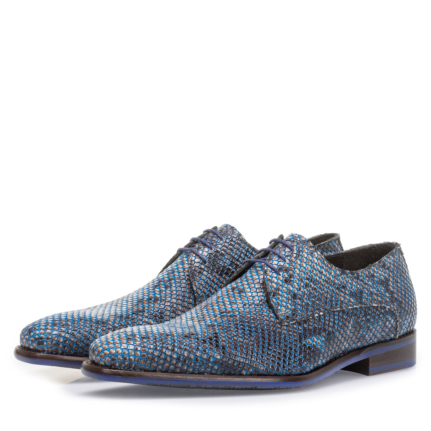 18159/17 - Blue lace shoe with snake print 18159/17 - Blue lace shoe with snake print